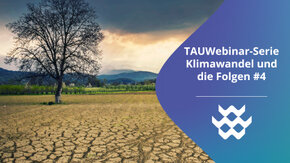 Umwelt-Stress-Test - Wie werden Industrieflächen resilient?
