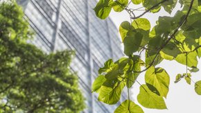 Tauw führt Umwelt-Due-Diligence für Steadfast Investment durch